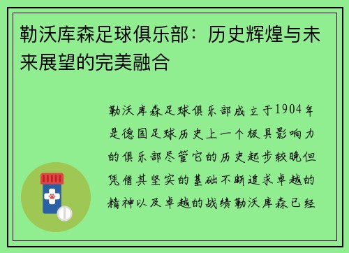 勒沃库森足球俱乐部：历史辉煌与未来展望的完美融合